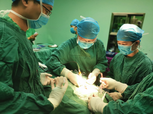 1572620983878278.png image.png